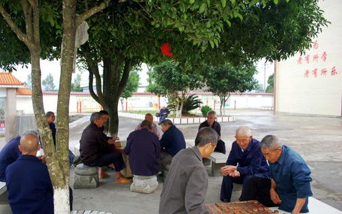 农村养老院与居家养老的平衡 以河南康乃馨为例的思考